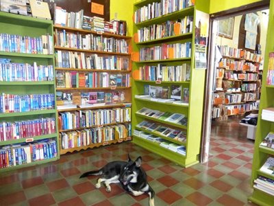گراندا-کتابخانه-لانچ-لیبرو-Lucha-Libro-Books-371640