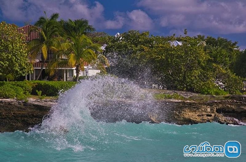 هتل سوئیت | Eldemire's Tropical Island Inn