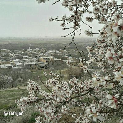 همدان-روستای-تفریجان-373260
