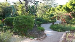 باغ گیاه شناسی کوناکری | Conakry Botanical Garden