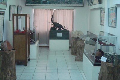 ویکتوریا-موزه-تاریخ-طبیعی-سیشل-Seychelles-Natural-History-Museum-373862