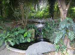 باغ گیاه شناسی اونیل | J.R. O'Neal Botanic Gardens