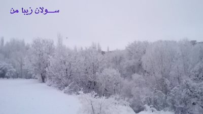 همدان-روستای-سلولان-380376