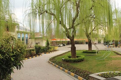 کرمانشاه-هتل-آزادگان-381055