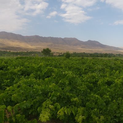 ملایر-روستای-میشن-386097