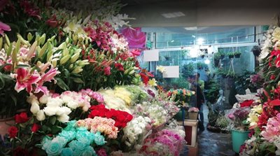 تهران-بازار-گل-و-گیاه-غرب-تهران-390489