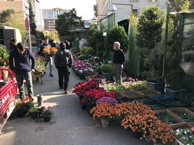تهران-بازار-گل-و-گیاه-ظفر-390503