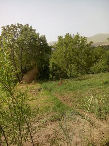 سنندج-روستای-باباریز-395244