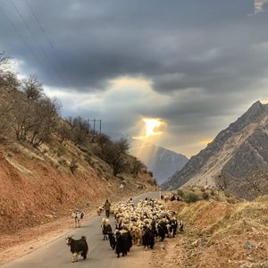 اردل-روستای-آبشاران-علیا-399172