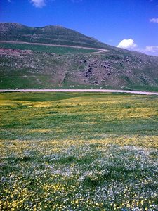 اردبیل-روستای-خیارک-401382