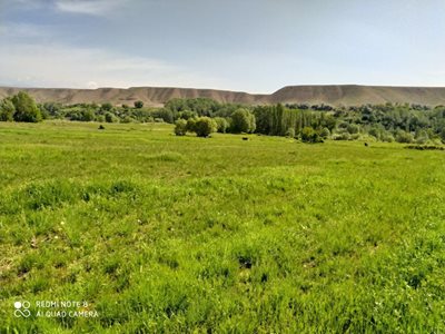 میانه-روستای-نودوزق-401691
