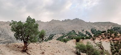 فریدونشهر-جنگلهای-پشتکوه-412826