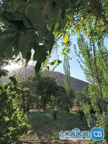 روستای اویج