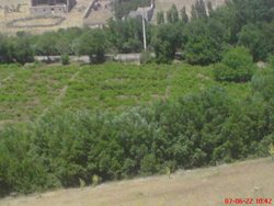 روستای مزرعه محمودی