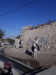 روستای کسجین