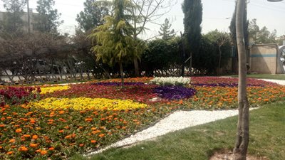 مشهد-پارک-گلها-426366