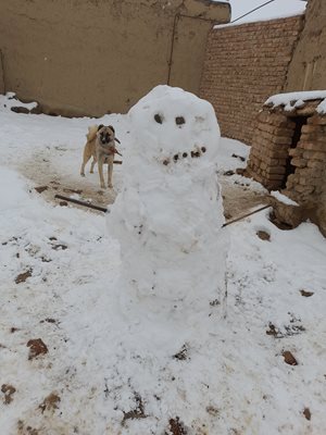 ملایر-روستای-اوچ-تپه-435568