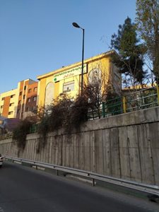 تهران-بازار-میوه-و-تره-بار-کرمان-441549