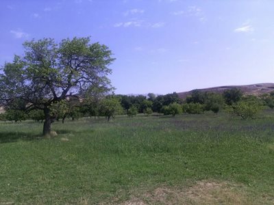 میانه-روستای-اشنار-442220