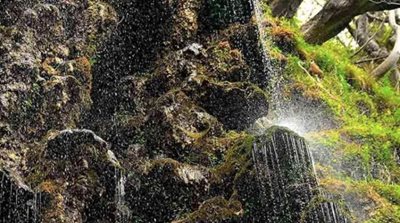 رامسر-آبشار-سیاسرت-446689