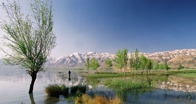 شهر-کرد-تالاب-چغاخور-448725