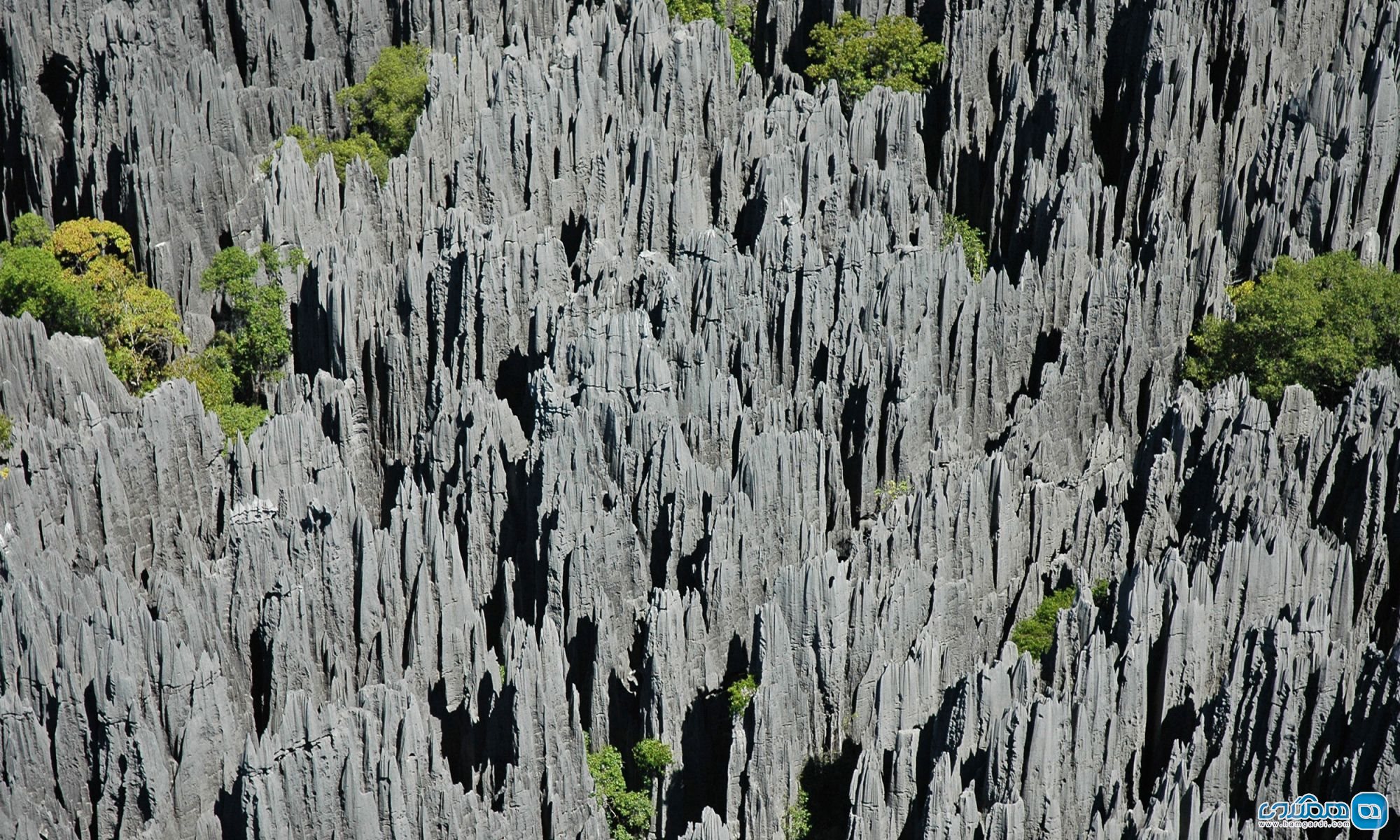 جنگل سنگی ماداگاسکار5