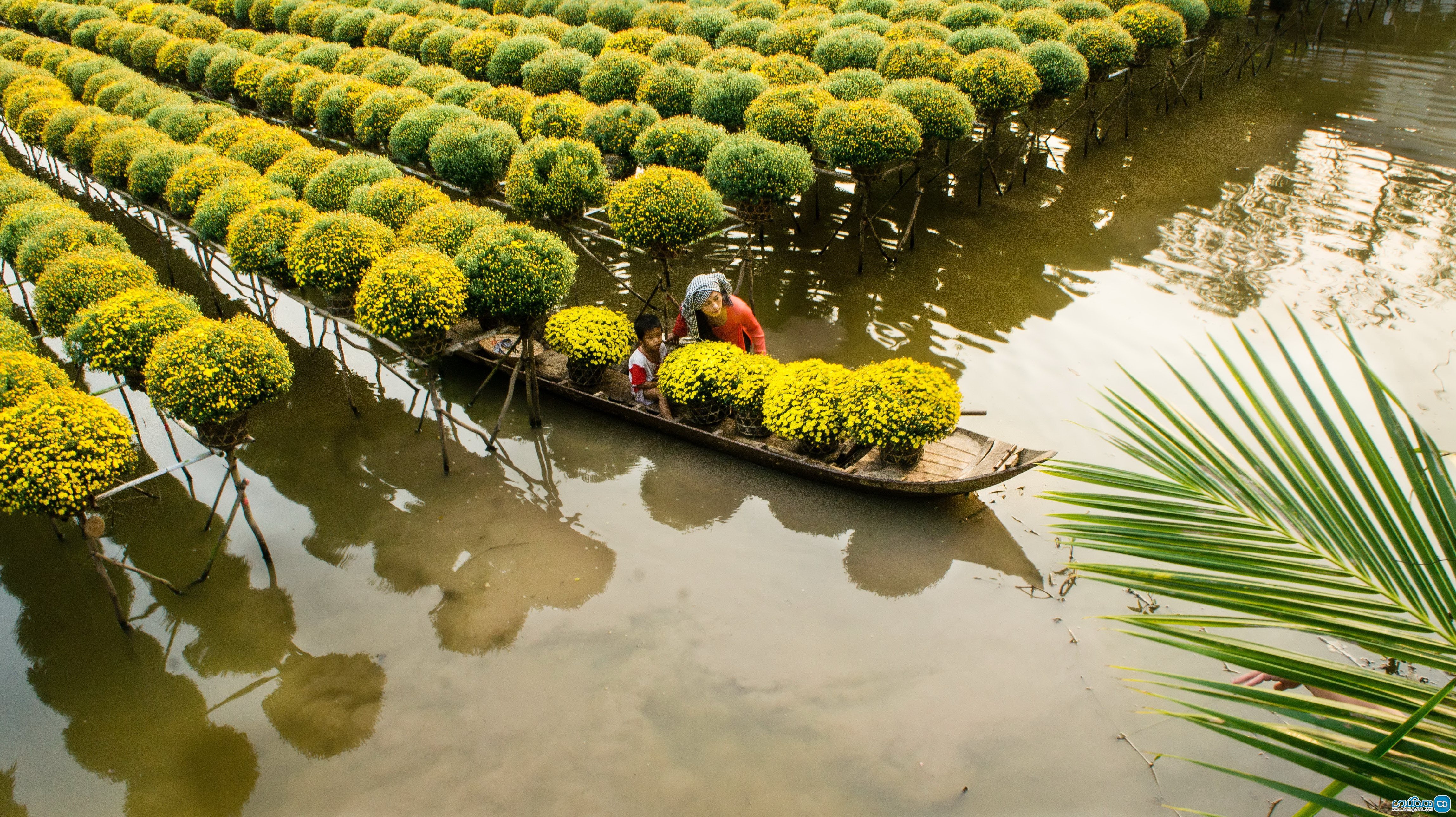  دلتای مکونگ ( Mekong Delta )3