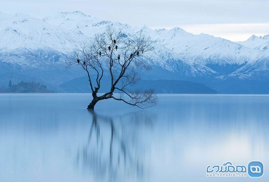 دریاچه واناکا نیوزلند2