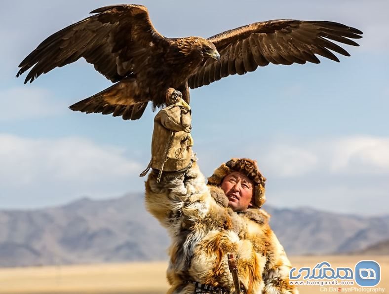 عقاب طلایی قزاق