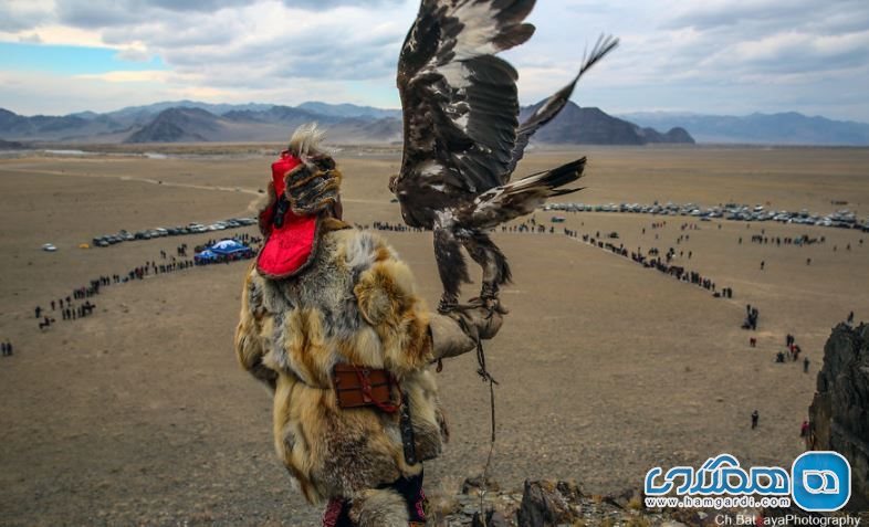 عقاب طلایی قزاقی