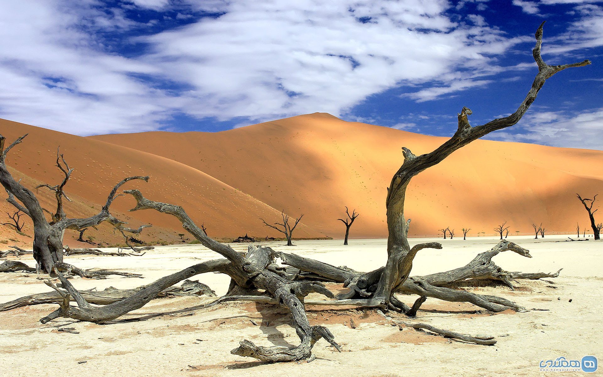 Namib Desert, Namibia3