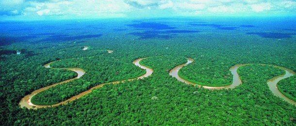 جنگل آمازون بولیوی