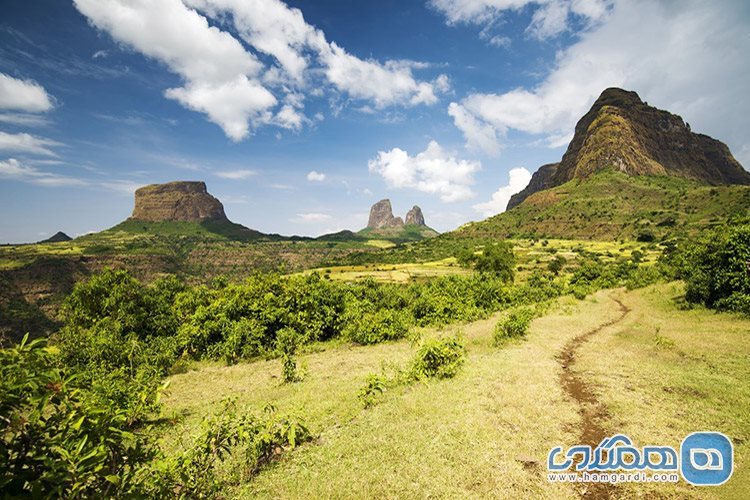 پارک ملی کوهستان سیمیِن، امهارا در اتیوپی