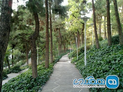 پارک ساعی Saei Park