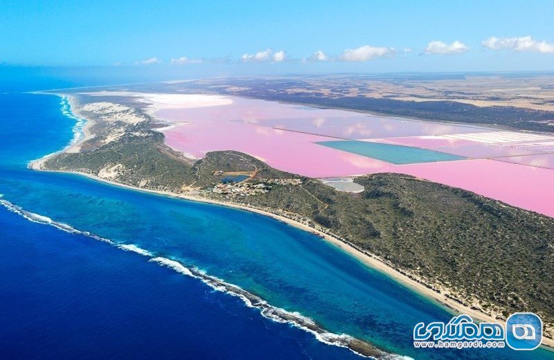 دریاچه ی صورتی، دریاچه ای شگفت انگیز در استرالیا