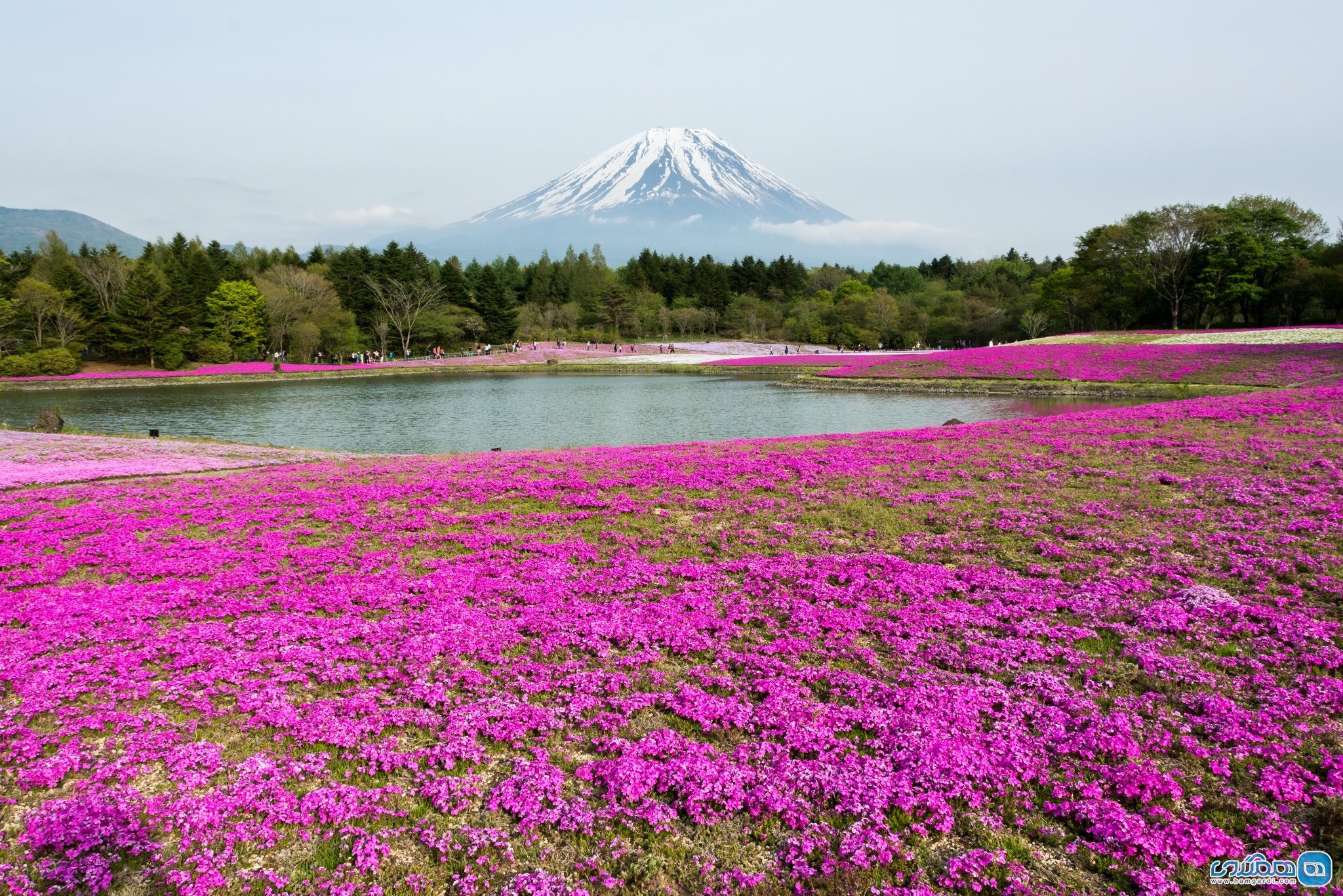 پارک ملی فوجی-هاکونه-ایزو Fuji-Hakone-Izu ، ژاپن 1