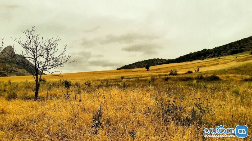 زیبایی های روستای توریستی درکش