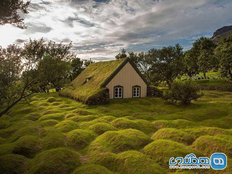 green-grass-roof