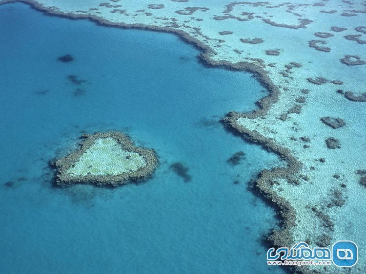 دیواره ی بزرگ مرجانی در سواحل کوئینزلند