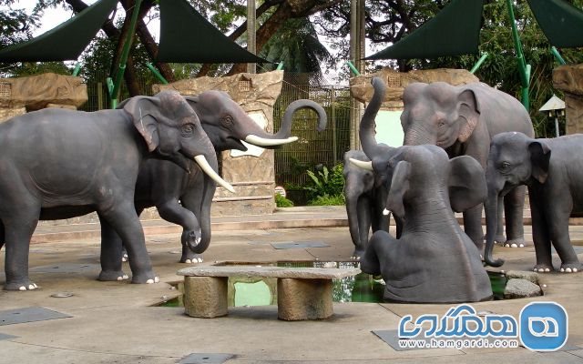 باغ فیل ها