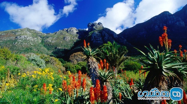 باغ گیاهشناسی آفریقای جنوبی