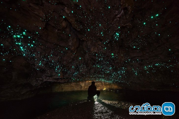 غار وایتومو در نیوزیلند