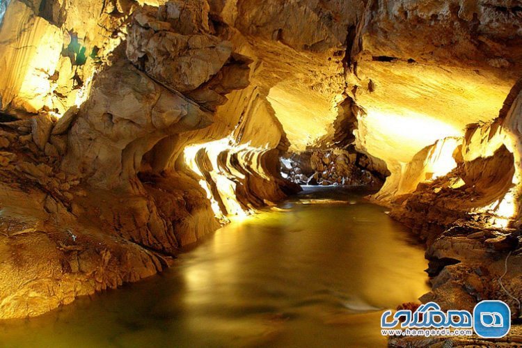 غار مولو مالزی