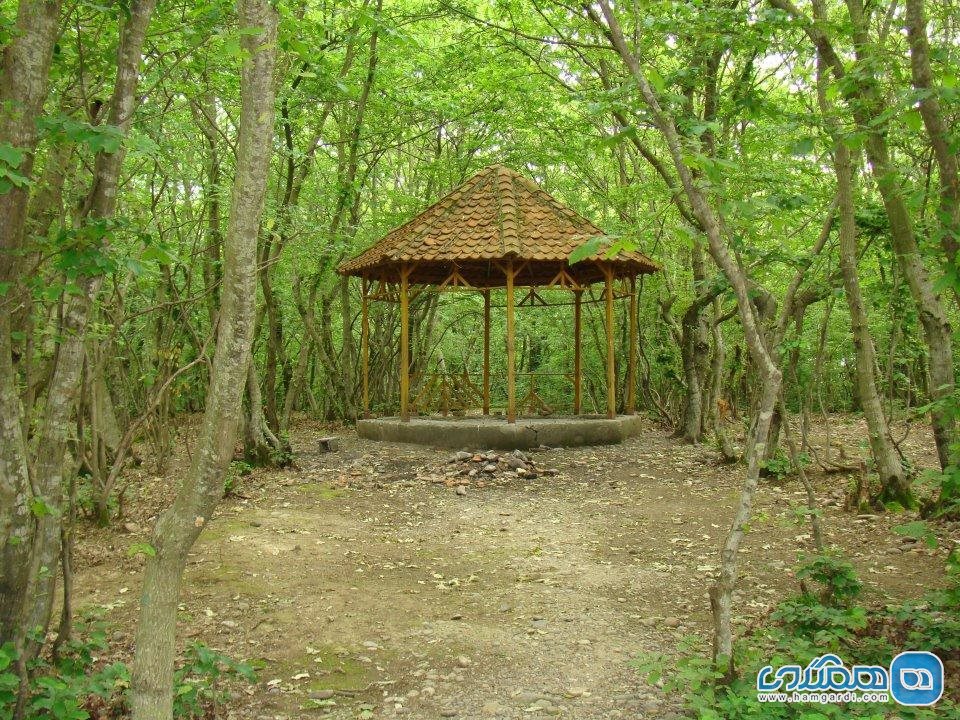 پارک جنگلی سراوان واقع در شهر رشت