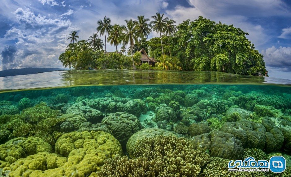 نمایی زیبا از Tavanipupu در جزایر سلیمان