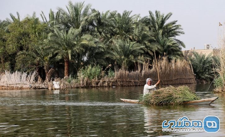 موقعیت جغرافیایی تالاب شادگان