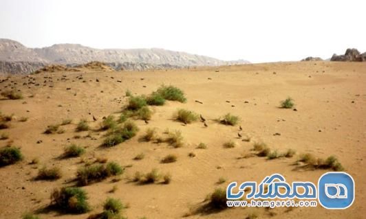منطقه حفاظت شده میشداغ – ام الدبس در استان خوزستان
