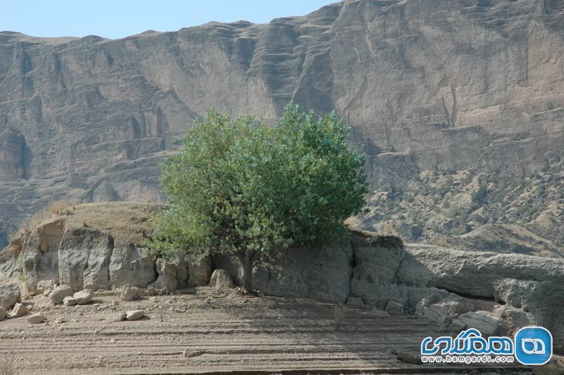 منطقه حفاظت شده میشداغ – ام الدبس