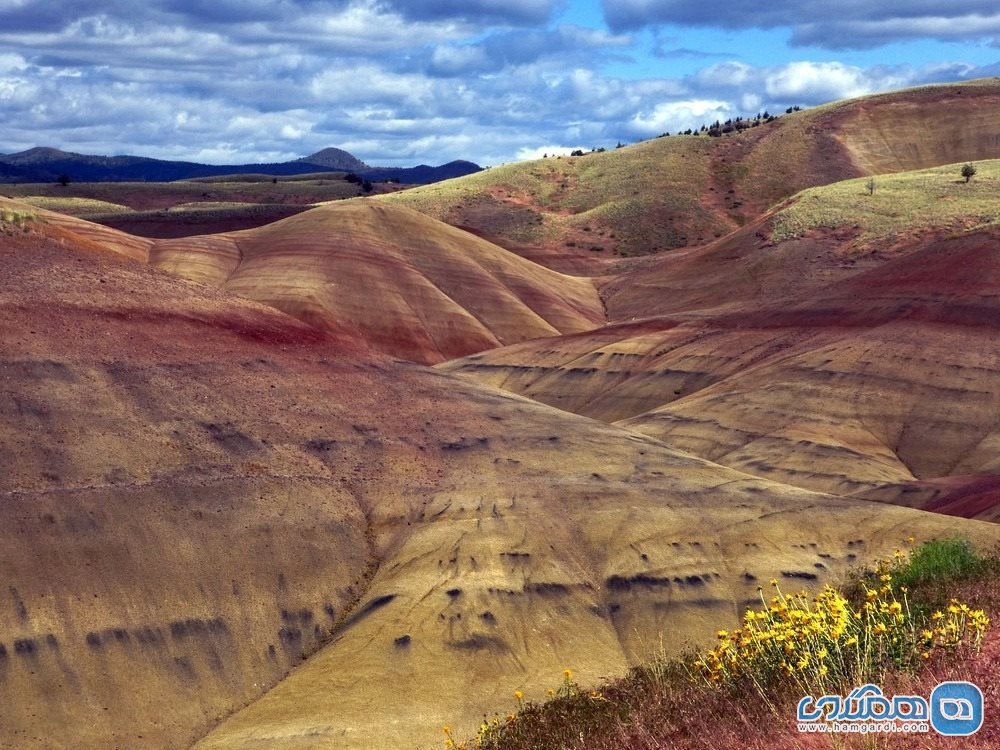 تپه های نقاشی شده اورگون 3