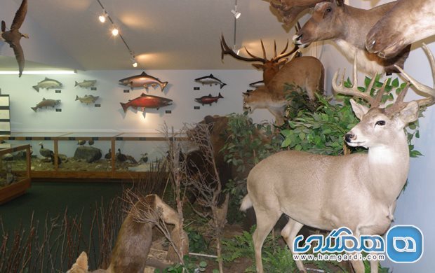 Lake Erie Islands Nature & Wildlife Center